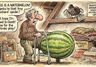 Blackpool Man's Leg Becomes a Watermelon After Britain's Deadliest Spider Treats His Mother's Loft Like a Timeshare
