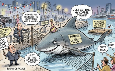 Busan Waves Goodbye to Its Celebrity Shark After Eight Hours of Work, and She Is Back by 11 p.m. Like a Teenager Who Said She Was Moving Out