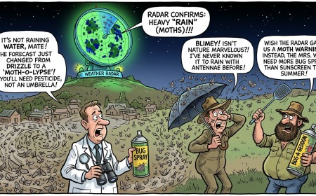 Australia's Weather Radar Reports Rain Every Night for a Month, Bureau Confirms the Rain Is Millions of Moths and the Radar Is Fine